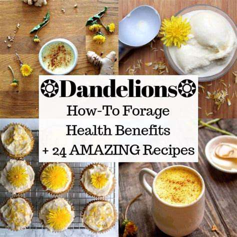 The Art of Cooking with Foraged Ingredients
