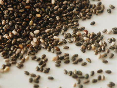 Plant Based Superfoods: Powering Your Diet