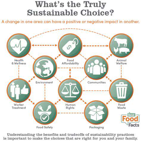 Sustainable Food Delivery Services: Eco Conscious Choices