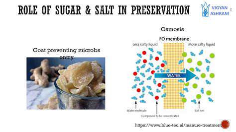 The Science of Food Preservation: Extending Shelf Life Naturally