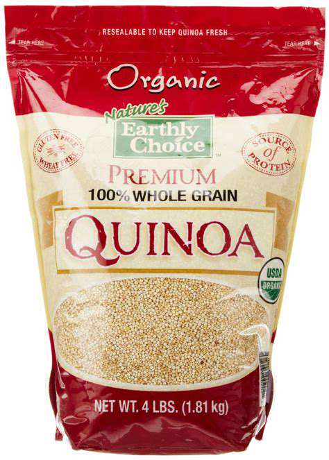 Plant Based Protein Powerhouses: Fueling Your Body Naturally
