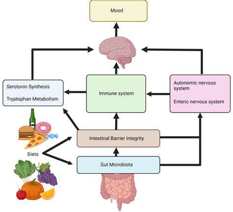 TheGut-BrainConnection:HowFoodImpactsAnxiety