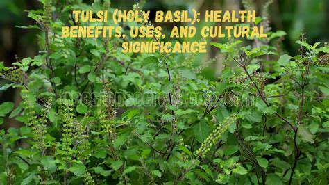 TheHealthBenefitsandCulturalSignificanceofComfortDrinks