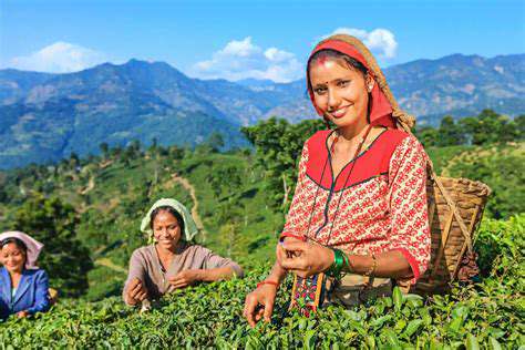 TheImportanceofSustainableTeaFarming