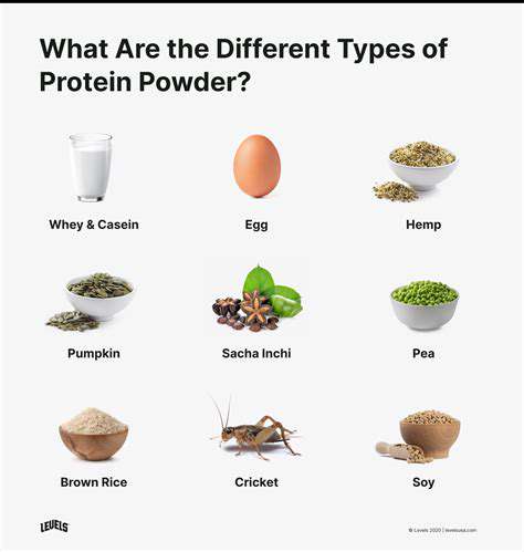 UnderstandingtheDifferentTypesofPlant-BasedProteinPowders
