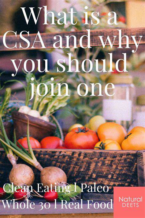 Community Supported Agriculture (CSA): A Sustainable Choice