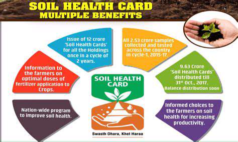 The Role of Regenerative Agriculture in Soil Health
