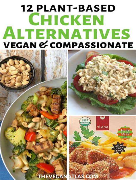 BeyondtheBun:ExploringtheRiseofPlant-BasedChickenAlternatives