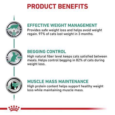The Health Benefits of Nuts and Seeds