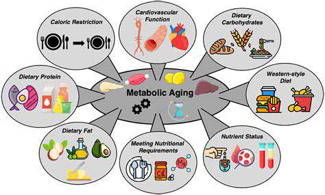NutrientTimingandAnti-AgingImpact