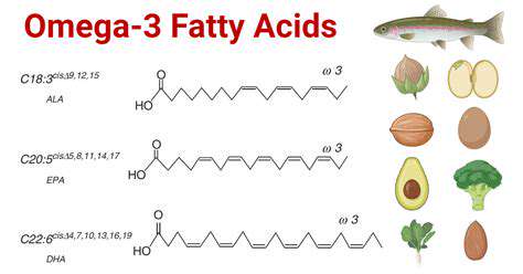 PolyunsaturatedFats:Omega-3sandOmega-6sβABalancedAct