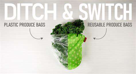 ReusableEverything:DitchtheDisposable