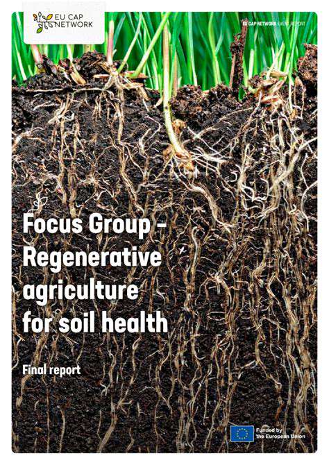 SoilHealth:TheCornerstoneofRegenerativeAgriculture