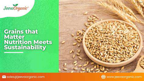 From Grain to Glass: Sustainable Beer Brewing