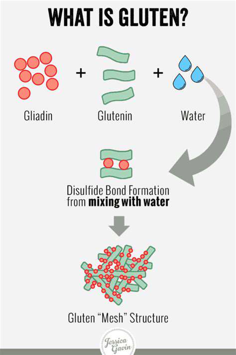 MasteringtheScienceofGlutenDevelopment(oritsAbsence)