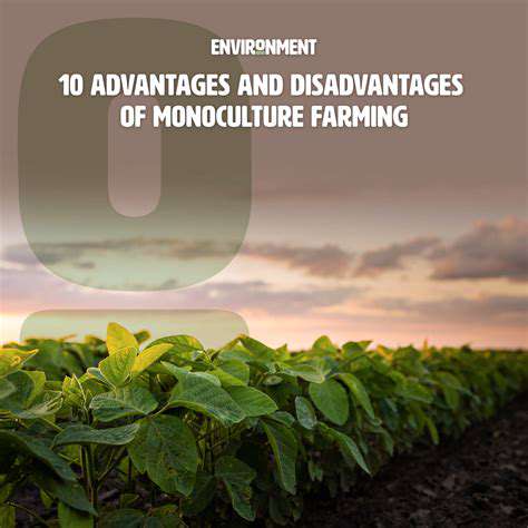 MonocultureFarmingandtheLossofHabitat