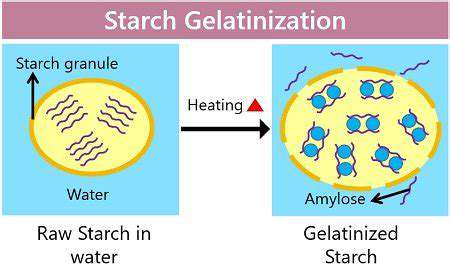 The Science of Gelatinization in Cooking (Plant Based Focus)