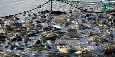 RecognizingtheImpactofOverfishing