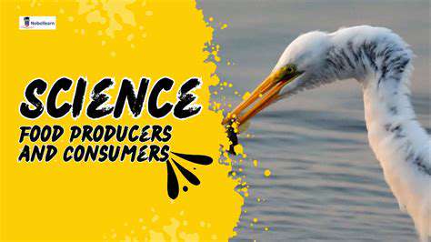 TheFutureofFood:EmpoweringConsumersandProducers