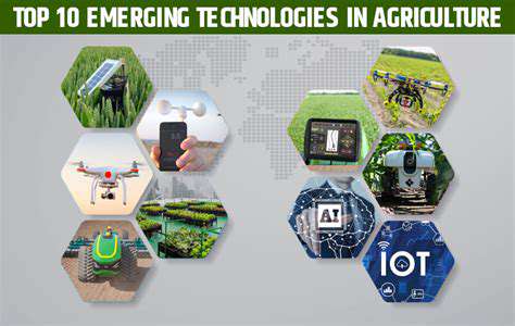 The Future of Sustainable Agriculture: Smart Farming