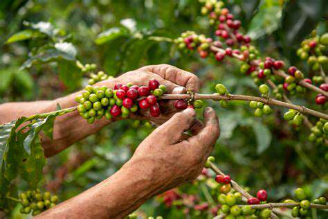 EnsuringFairPricesforCoffeeFarmers